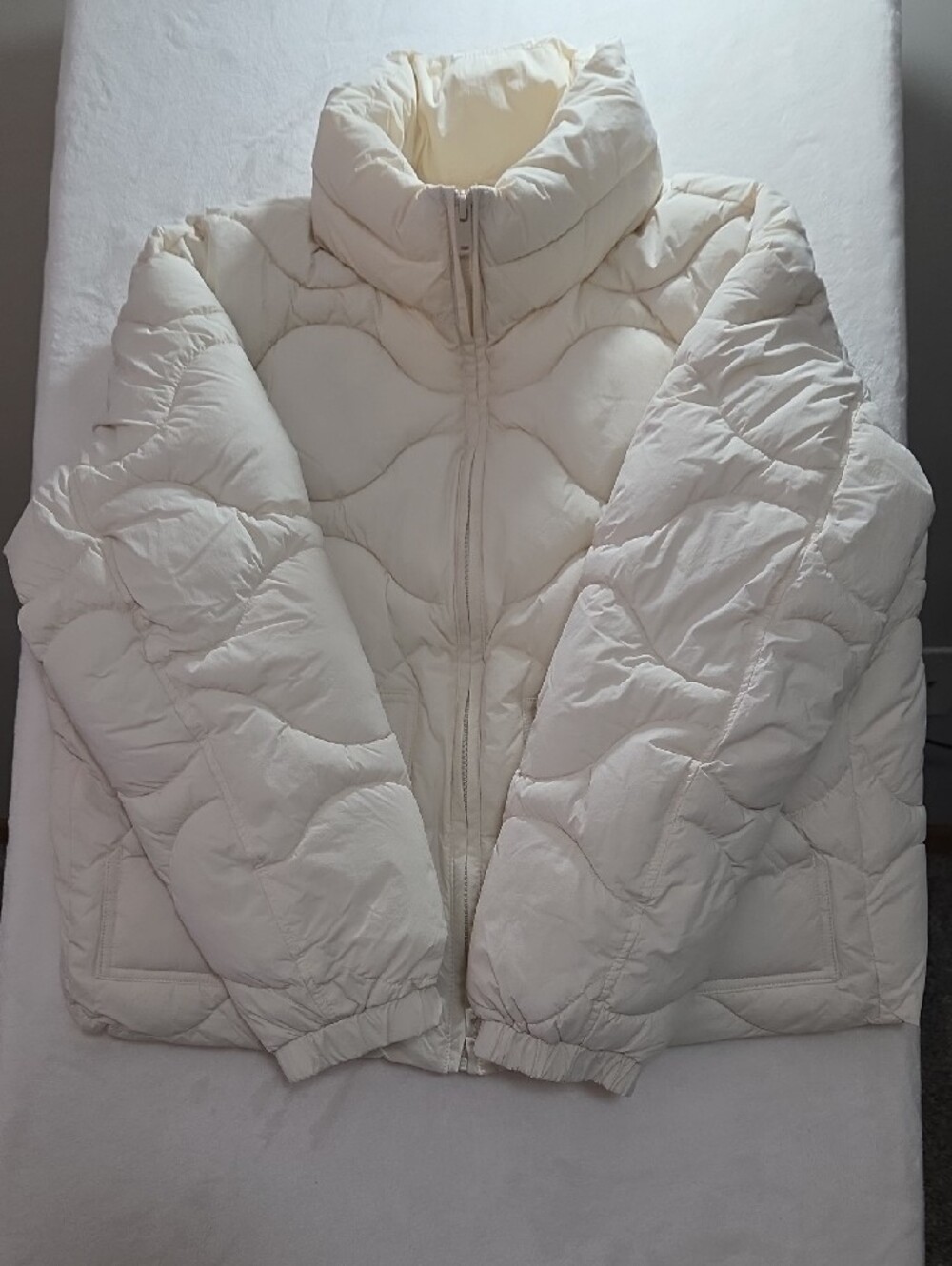 Cropped Puffer NWOT